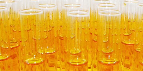 gallery_buildings_two